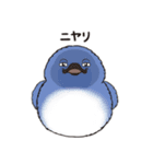 ルリモンとらいドン2（個別スタンプ：16）