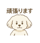 ミックス犬レイの日常スタンプ（個別スタンプ：8）