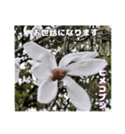 ご挨拶に 初春の山野草のお花を添えて（個別スタンプ：7）