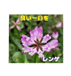 ご挨拶に 初春の山野草のお花を添えて（個別スタンプ：30）