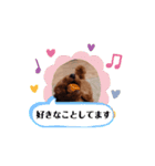 動く！茶色のといぷーさん4（個別スタンプ：4）