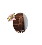 動く！茶色のといぷーさん4（個別スタンプ：6）