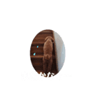 動く！茶色のといぷーさん4（個別スタンプ：7）