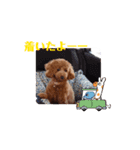 動く！茶色のといぷーさん4（個別スタンプ：11）