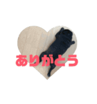 のりぞうだより（個別スタンプ：3）
