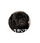 のりぞうだより（個別スタンプ：5）
