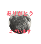 のりぞうだより（個別スタンプ：6）