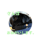 のりぞうだより（個別スタンプ：8）