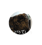 のりぞうだより（個別スタンプ：9）