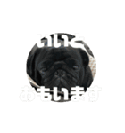 のりぞうだより（個別スタンプ：10）