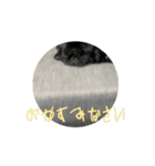 のりぞうだより（個別スタンプ：16）