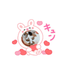 イト・トロ・マシュのスタンプ（個別スタンプ：2）