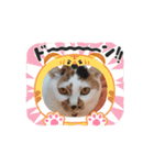 イト・トロ・マシュのスタンプ（個別スタンプ：6）