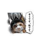 イト・トロ・マシュのスタンプ（個別スタンプ：8）