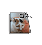 イト・トロ・マシュのスタンプ（個別スタンプ：9）