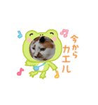 イト・トロ・マシュのスタンプ（個別スタンプ：13）