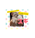 動くにゃんず三兄弟（個別スタンプ：2）