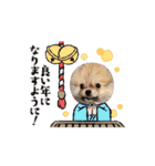 ぺあしゃんスタンプ（個別スタンプ：5）