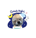 ぺあしゃんスタンプ（個別スタンプ：9）