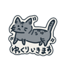 手書きべんがるネコ行動（個別スタンプ：5）