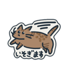 手書きべんがるネコ行動（個別スタンプ：6）