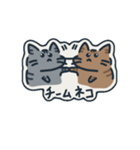 手書きべんがるネコ行動（個別スタンプ：16）