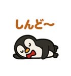 フンボルトペンギンくんの毎日スタンプ（個別スタンプ：10）