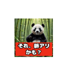 恋愛相談パンダ（個別スタンプ：1）
