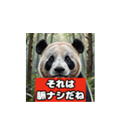 恋愛相談パンダ（個別スタンプ：2）