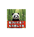 恋愛相談パンダ（個別スタンプ：4）