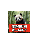 恋愛相談パンダ（個別スタンプ：9）