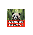 恋愛相談パンダ（個別スタンプ：10）