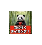 恋愛相談パンダ（個別スタンプ：13）