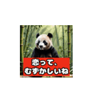 恋愛相談パンダ（個別スタンプ：14）