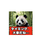 恋愛相談パンダ（個別スタンプ：16）