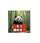 恋愛相談パンダ（個別スタンプ：17）