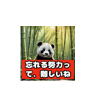 恋愛相談パンダ（個別スタンプ：18）