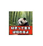 恋愛相談パンダ（個別スタンプ：19）
