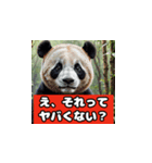 恋愛相談パンダ（個別スタンプ：21）