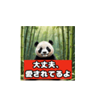 恋愛相談パンダ（個別スタンプ：22）