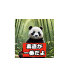 恋愛相談パンダ（個別スタンプ：25）