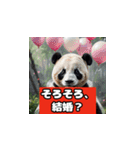 恋愛相談パンダ（個別スタンプ：30）