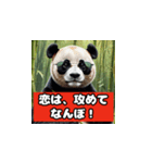 恋愛相談パンダ（個別スタンプ：31）