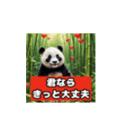 恋愛相談パンダ（個別スタンプ：33）