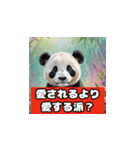 恋愛相談パンダ（個別スタンプ：34）