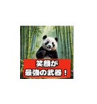 恋愛相談パンダ（個別スタンプ：37）