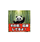 恋愛相談パンダ（個別スタンプ：39）