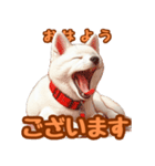 白い北海道犬のかわいい挨拶♪（個別スタンプ：2）