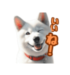 白い北海道犬のかわいい挨拶♪（個別スタンプ：4）