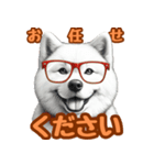 白い北海道犬のかわいい挨拶♪（個別スタンプ：12）